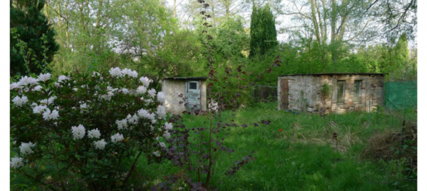 Wohngrundstück in Kleinmachnow bei Berlin verkauft durch Gross & Klein Immobilien