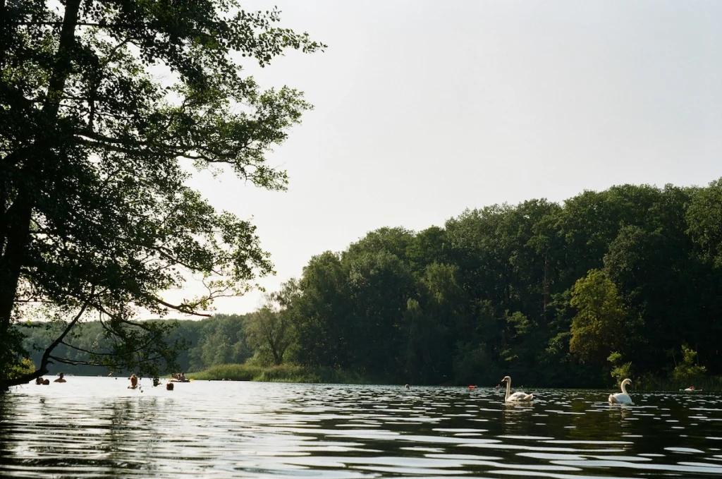 Wohnen am Schlachtensee in Berlin – ruhige Wohnlage mit Natur und hoher Lebensqualität