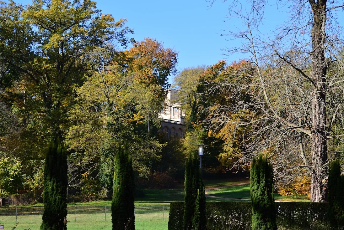 Grünlage nahe dem Neuen Garten in Potsdam Nauener Vorstadt